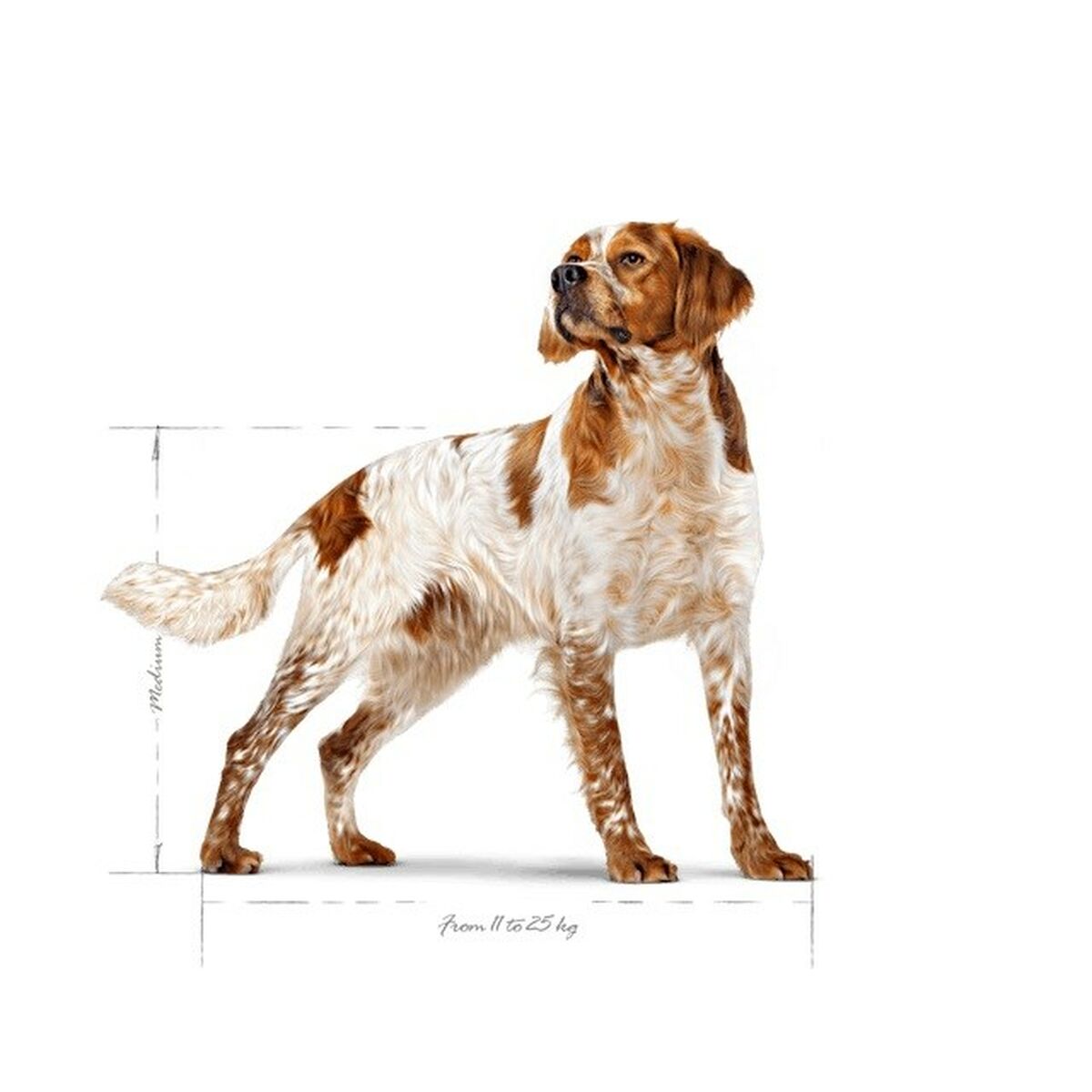 Voer Royal Canin Vogels 15 kg 12 kg